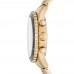 Наручные часы Fossil FS5836