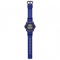 Наручные часы CASIO WS-1300H-2AVEF