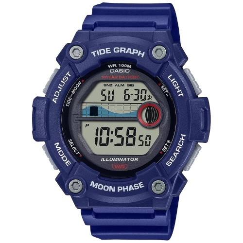 Наручные часы CASIO WS-1300H-2AVEF