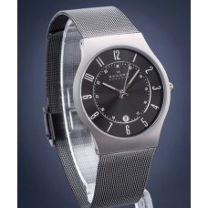 Наручные часы Skagen 233LTTM TITANIUM