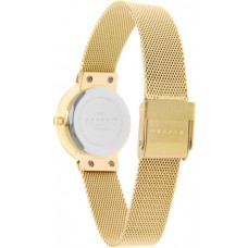 Наручные часы Skagen 456SGSG
