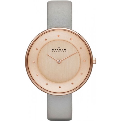 Наручные часы Skagen SKW2139