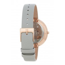 Наручные часы Skagen SKW2139