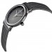 Наручные часы Skagen 355SMM1 Наручные часы Skagen 355SMM1