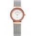 Наручные часы Skagen 358SRSC Наручные часы Skagen 358SRSC