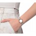 Наручные часы Skagen 358SRSC Наручные часы Skagen 358SRSC
