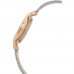Наручные часы Skagen 1069SKW Наручные часы Skagen 1069SKW