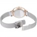 Наручные часы Skagen 1069SKW Наручные часы Skagen 1069SKW