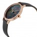 Наручные часы Skagen 2390SKW Наручные часы Skagen 2390SKW