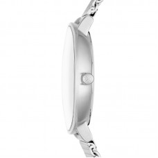 Наручные часы Skagen 6255SKW