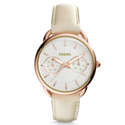 Наручные часы Fossil ES3954