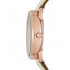 Наручные часы Fossil ES3954