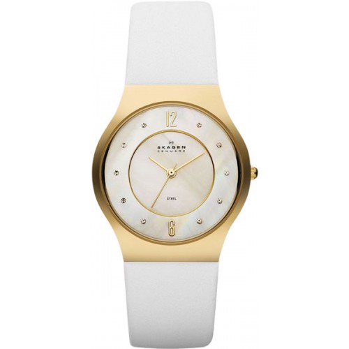 Наручные часы Skagen SKW2027