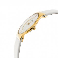 Наручные часы Skagen SKW2027